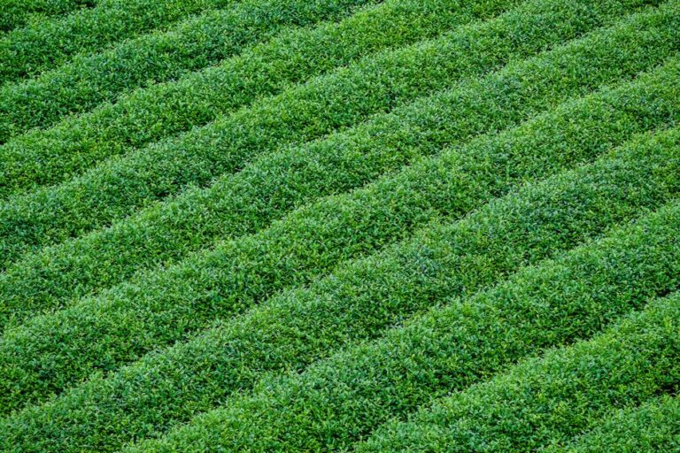 organic agricultural supplies