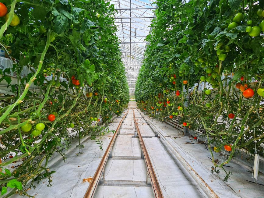 vertical farming technology