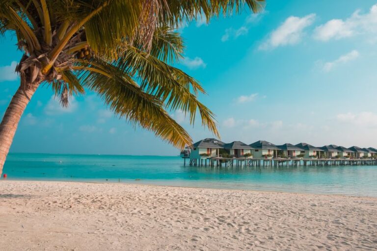 vacation packages
