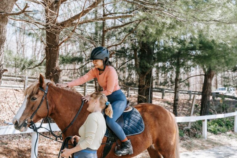 horse riding lessons